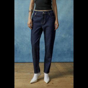 Urban Outfitters BDG Dark Wash Mid-Rise Skinny Jean